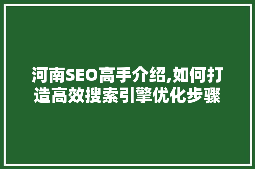 河南SEO高手介绍,如何打造高效搜索引擎优化步骤