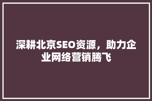 深耕北京SEO资源，助力企业网络营销腾飞