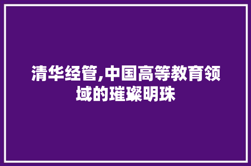 清华经管,中国高等教育领域的璀璨明珠