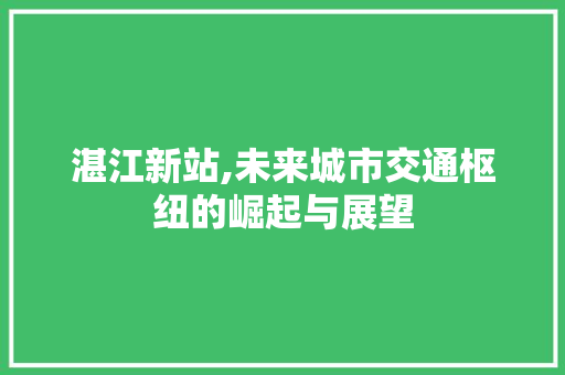 湛江新站,未来城市交通枢纽的崛起与展望