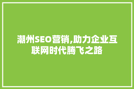 潮州SEO营销,助力企业互联网时代腾飞之路