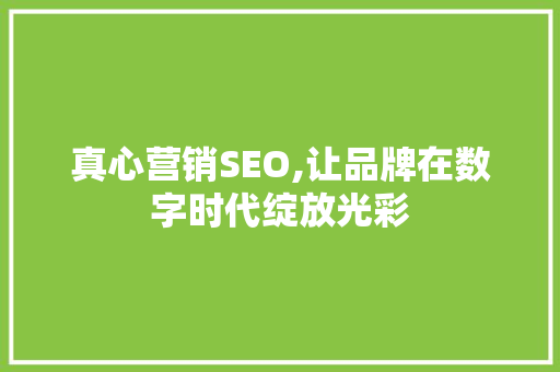 真心营销SEO,让品牌在数字时代绽放光彩
