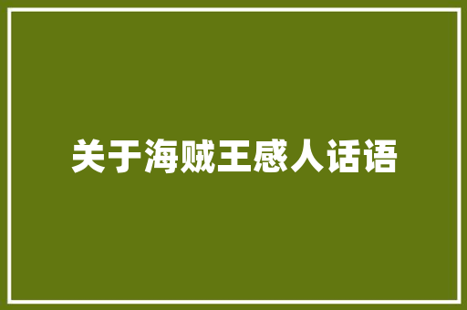 美食SEO,打造美食网站，让美味飘香全球
