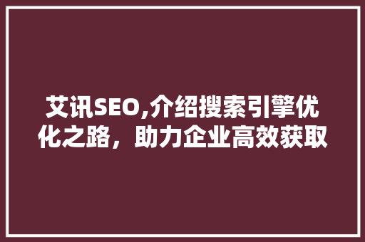 艾讯SEO,介绍搜索引擎优化之路，助力企业高效获取流量