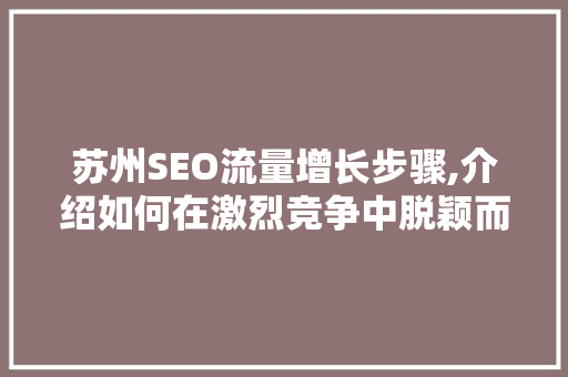 苏州SEO流量增长步骤,介绍如何在激烈竞争中脱颖而出