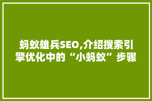 蚂蚁雄兵SEO,介绍搜索引擎优化中的“小蚂蚁”步骤