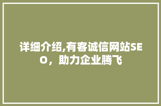 详细介绍,有客诚信网站SEO，助力企业腾飞