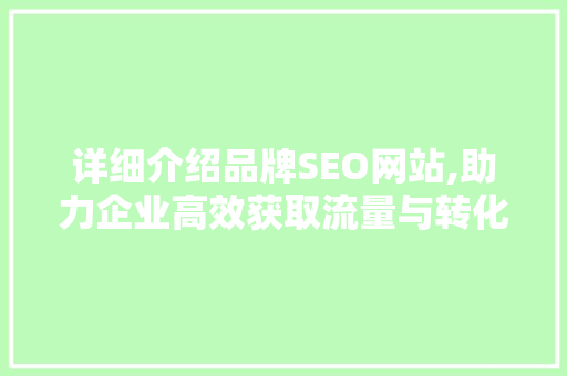 详细介绍品牌SEO网站,助力企业高效获取流量与转化