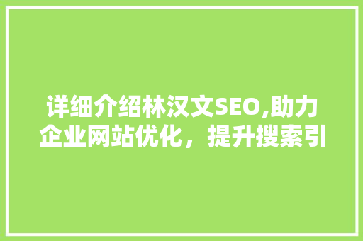 详细介绍林汉文SEO,助力企业网站优化，提升搜索引擎排名
