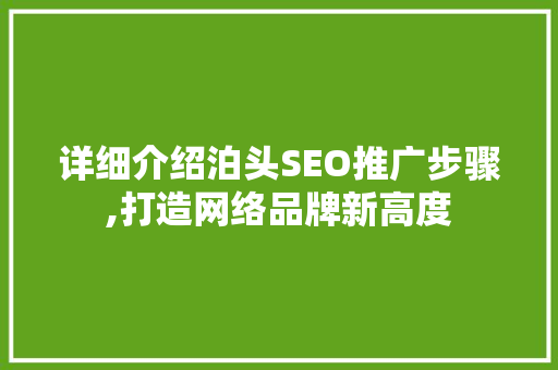 详细介绍泊头SEO推广步骤,打造网络品牌新高度