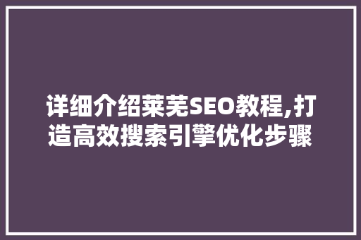 详细介绍莱芜SEO教程,打造高效搜索引擎优化步骤