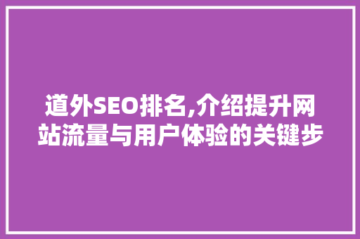 道外SEO排名,介绍提升网站流量与用户体验的关键步骤