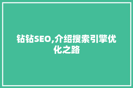 钻钻SEO,介绍搜索引擎优化之路