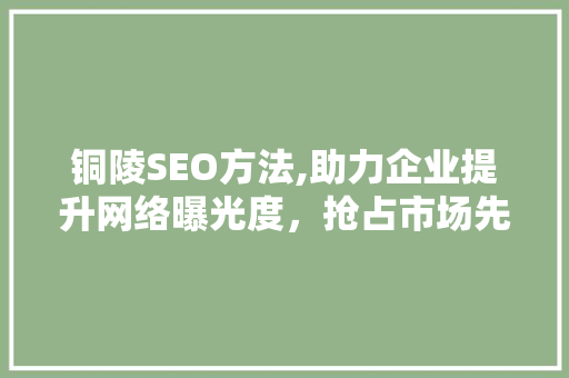 铜陵SEO方法,助力企业提升网络曝光度，抢占市场先机
