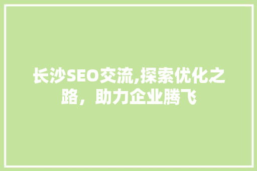 长沙SEO交流,探索优化之路，助力企业腾飞