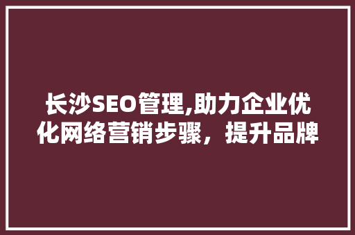 长沙SEO管理,助力企业优化网络营销步骤，提升品牌影响力