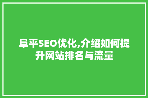 阜平SEO优化,介绍如何提升网站排名与流量