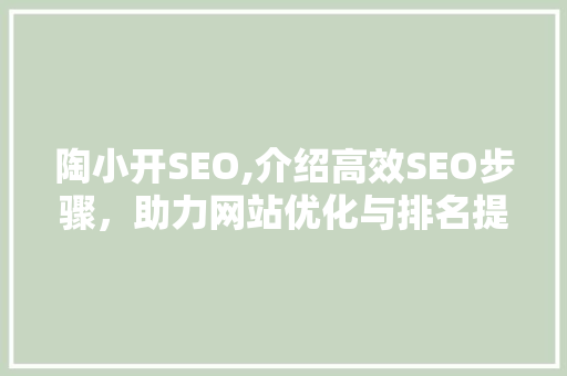 陶小开SEO,介绍高效SEO步骤，助力网站优化与排名提升