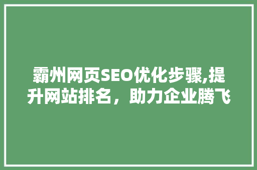 霸州网页SEO优化步骤,提升网站排名，助力企业腾飞