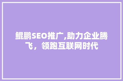 鲲鹏SEO推广,助力企业腾飞，领跑互联网时代