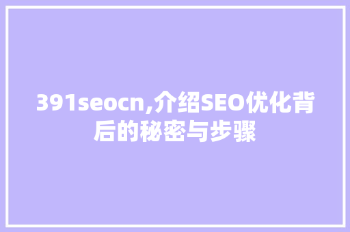 391seocn,介绍SEO优化背后的秘密与步骤