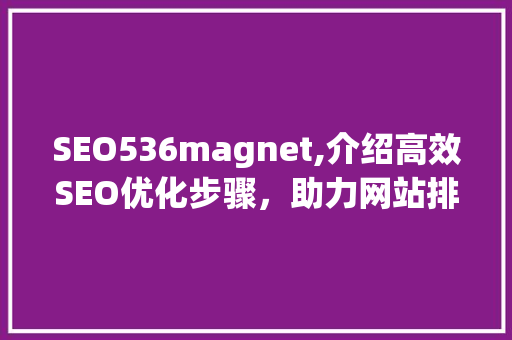 SEO536magnet,介绍高效SEO优化步骤，助力网站排名提升