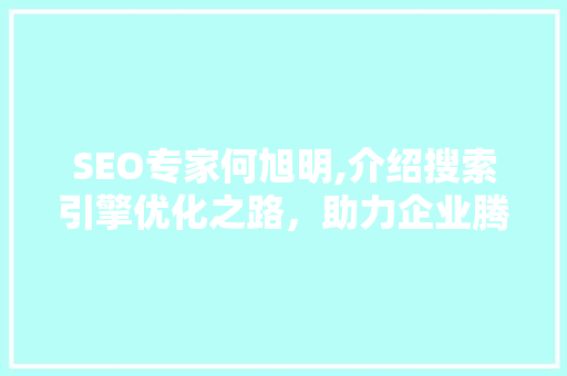 SEO专家何旭明,介绍搜索引擎优化之路，助力企业腾飞