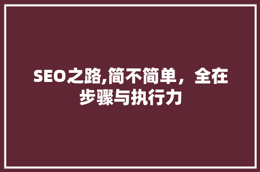 SEO之路,简不简单，全在步骤与执行力