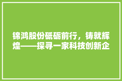 锦鸿股份砥砺前行，铸就辉煌——探寻一家科技创新企业的成长之路