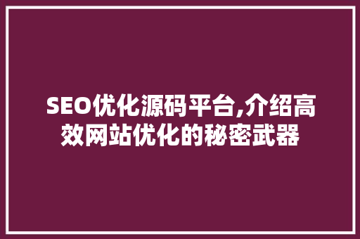 SEO优化源码平台,介绍高效网站优化的秘密武器