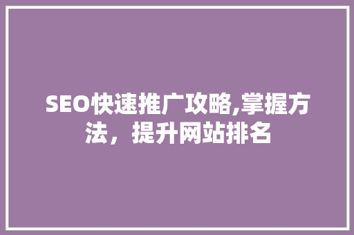 SEO快速推广攻略,掌握方法，提升网站排名