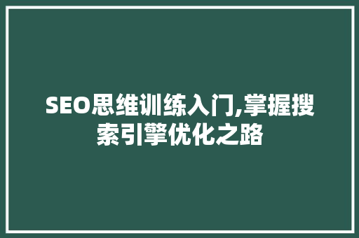 SEO思维训练入门,掌握搜索引擎优化之路