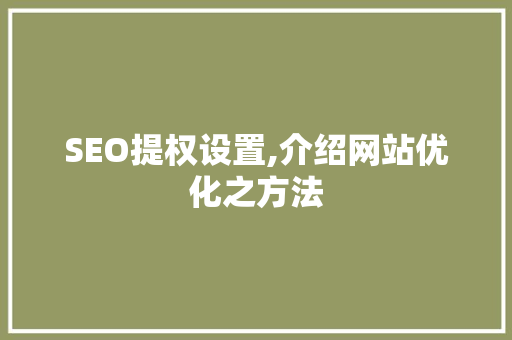 SEO提权设置,介绍网站优化之方法