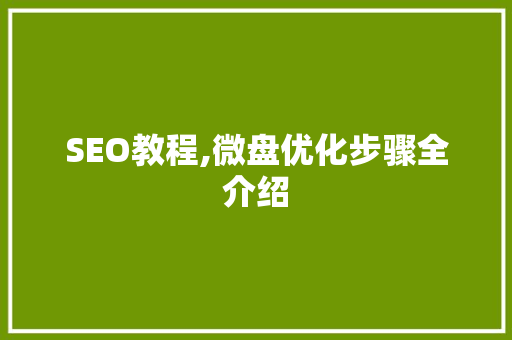 SEO教程,微盘优化步骤全介绍