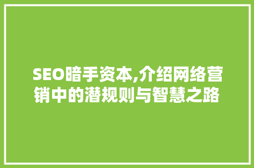 SEO暗手资本,介绍网络营销中的潜规则与智慧之路