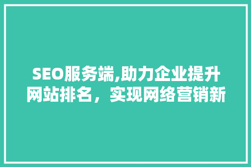 SEO服务端,助力企业提升网站排名，实现网络营销新突破