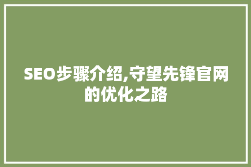 SEO步骤介绍,守望先锋官网的优化之路