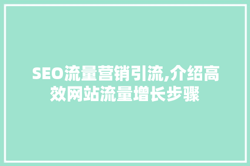 SEO流量营销引流,介绍高效网站流量增长步骤