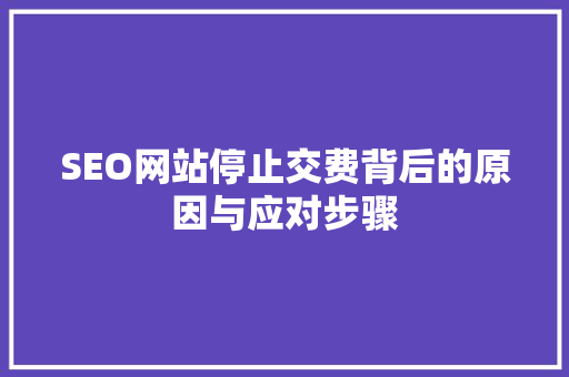 SEO网站停止交费背后的原因与应对步骤