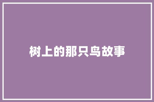 详细介绍莱阳网页SEO优化步骤，助力企业提升网络竞争力