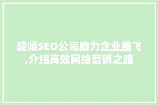 醴陵SEO公司助力企业腾飞,介绍高效网络营销之路