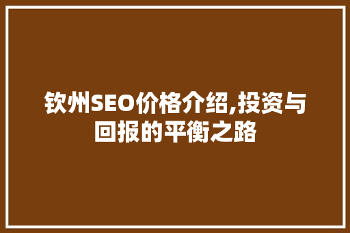 钦州SEO价格介绍,投资与回报的平衡之路