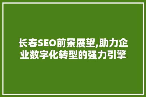 长春SEO前景展望,助力企业数字化转型的强力引擎