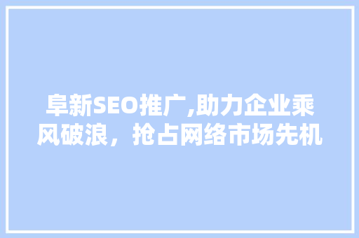 阜新SEO推广,助力企业乘风破浪，抢占网络市场先机