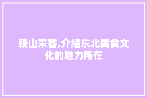 鞍山来客,介绍东北美食文化的魅力所在