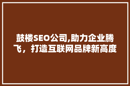 鼓楼SEO公司,助力企业腾飞，打造互联网品牌新高度