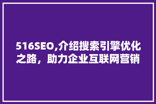 516SEO,介绍搜索引擎优化之路，助力企业互联网营销