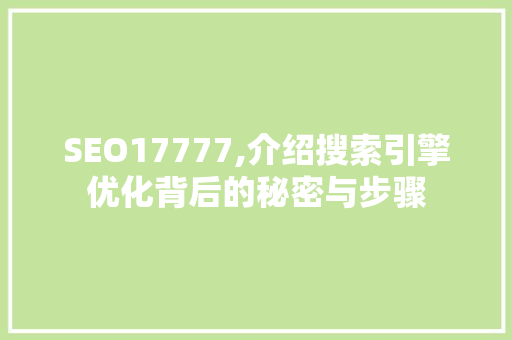 SEO17777,介绍搜索引擎优化背后的秘密与步骤