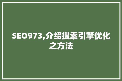 SEO973,介绍搜索引擎优化之方法