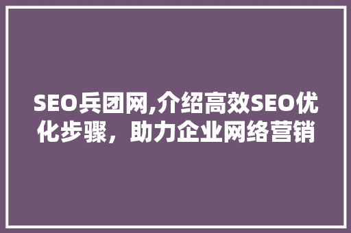 SEO兵团网,介绍高效SEO优化步骤，助力企业网络营销腾飞